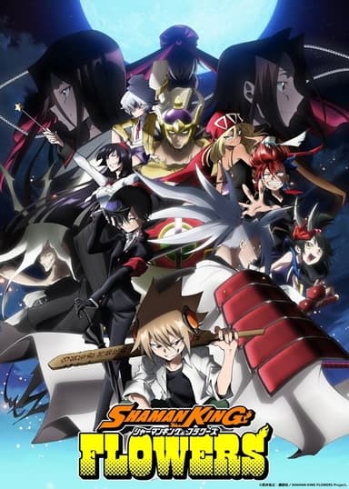 SHAMAN KING FLOWERS (2024)
