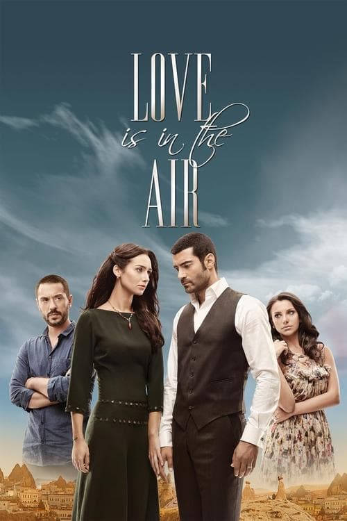 Love Is in the Air (2010)