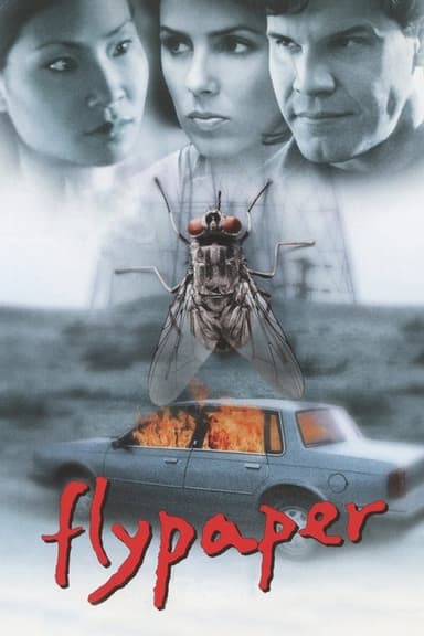 Flypaper (1999)